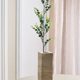 Eukalyptuszweig „Money“