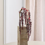 Amaranthus Sukkulente - Rot