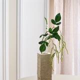 Amaranthus 2 Zweige Laub - Weiß