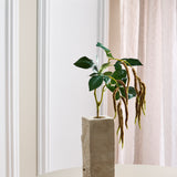 Amaranthus 2 Zweige Laub - Kaffee