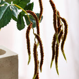 Amaranthus 2 Branches Foleage - Bordeaux
