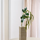 Amaranthus 2 Zweige Laub - Dunkelgrün