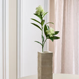 Skimmia-Beerenzweig - Weiß