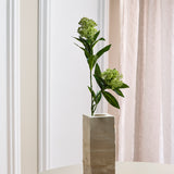 Skimmia-Beerenzweig, grün