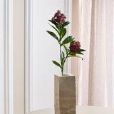 Skimmia-Beerenzweig, Bordeaux 