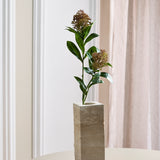 Skimmia-Beerenzweig, Rot/Grün