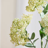 3 Zweige Sedum Beerenblüten, weiß