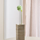 Scabiosa Blume - Grün