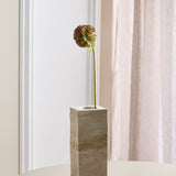 Scabiosa-Blume, Braun