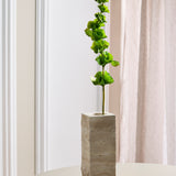 Glocken von Irland Blume