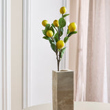 Zitronenzweig mit Früchten