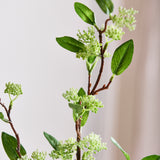 Weidenlaub mit langem Grün (Imperfect)