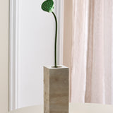 Lotus-Samenkapselblume