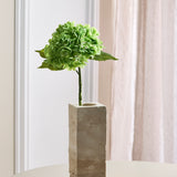 Hortensienblüte - Grün