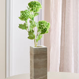 3 Köpfe Hortensie Schneeball - Grün