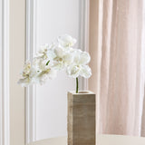 Luxuriöse Schmetterlingsorchidee „Real Touch“ – Weiß