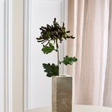 Chrysantheme - Grün