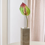 Große Flamingo-Anthurium - Grün