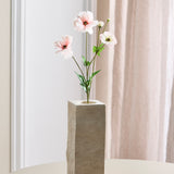 Schmetterlings-Ranunkel - Hellrosa