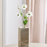 Schmetterlings-Ranunkel - Weiß