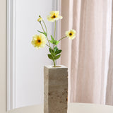 Schmetterlings-Ranunkel - Buttergelb