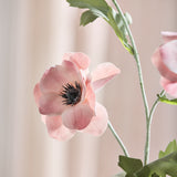 Anemonenblüte - Altrosa