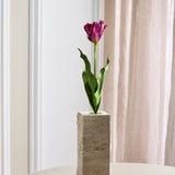 Monet Papageien-Tulpe – Lila