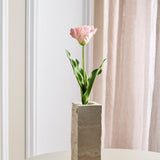 Monet Papageien-Tulpe – Rosa