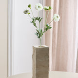 6-köpfige Ranunkeln - Weiß