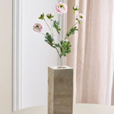 6-köpfige Ranunkeln - Hellrosa