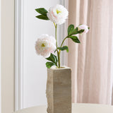 Pfingstrosenblüte - Hellrosa