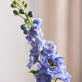 Delphinium Blume - Lila