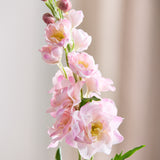 Delphinium Blume - Rosa