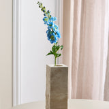 Delphinium Blume - Blau