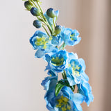 Delphinium Blume - Blau
