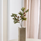 Grüne, zweifach gegabelte Zedernkiefer mit Früchten