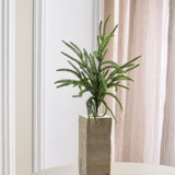 Grüner kleiner einzelner Kiefernzweig