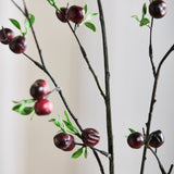 Beerenzweig - Bordeaux