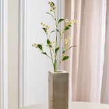 Kamillen-Margeritenblumen – Weiß