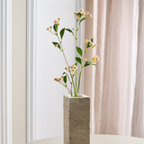 Kamillenmargeriten-Blumen – Pink