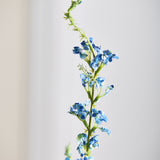 Salvia Blume - Blau