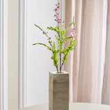 Salvia Blume - Hellrosa