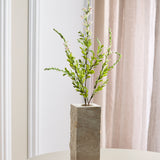 Salvia Blume - Hellrosa