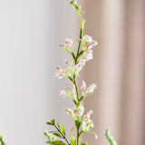 Salvia Blume - Hellrosa