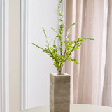 Salvia Blume - Weiß