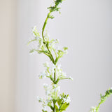 Salvia Blume - Weiß