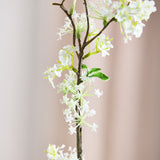 Schneeweidenzweig - Weiß