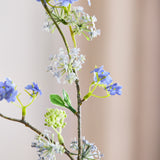 Schneeweidenzweig - Blau