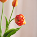 Mini-Tulpenstrauß - Orange