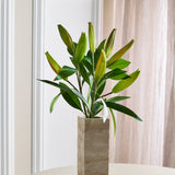 Lilienknospen-Bündel